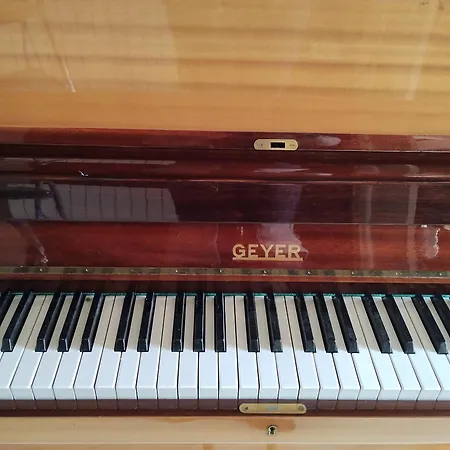 Le Paradis Des Chats Berceen Chez Stephanie Pres Circuit Du Mans, Animaux Acceptes Marigne-Laille