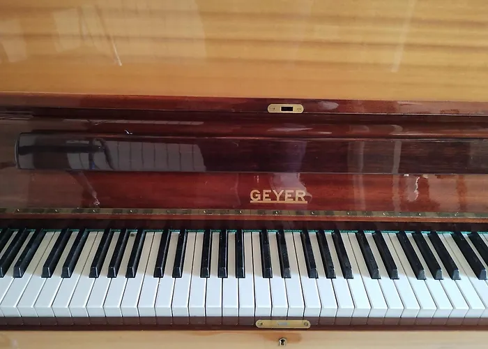 Le Paradis Des Chats Berceen Chez Stephanie Pres Circuit Du Mans, Animaux Acceptes Marigne-Laille