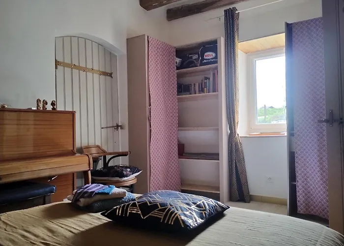 Le Paradis Des Chats Berceen Chez Stephanie Pres Circuit Du Mans, Animaux Acceptes * Marigne-Laille